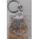 CAT Key Fobs