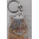 CAT Key Fobs