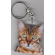 CAT Key Fobs