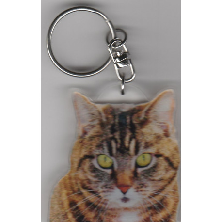 CHAT porte clés