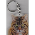 CAT Key Fobs