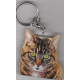 CAT Key Fobs