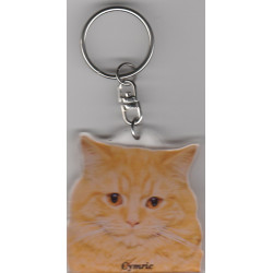 CYMRIC CAT Key Fobs