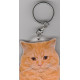 CYMRIC CAT Key Fobs