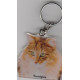 NOREGIEN FOREST CAT Key Fobs