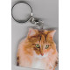 NOREGIEN FOREST CAT Key Fobs