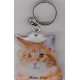 MAINE COON CAT Key Fobs