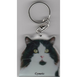 CYMRIC CAT Key Fobs