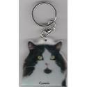 CYMRIC CAT Key Fobs