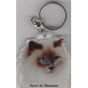 Sacré de Birmanie CHAT porte clés