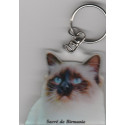 Sacré de Birmanie CHAT porte clés