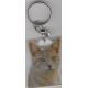 CAT Key Fobs