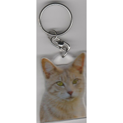 CHAT porte clés