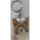 CAT   Key Fobs