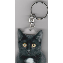 CAT Key Fobs