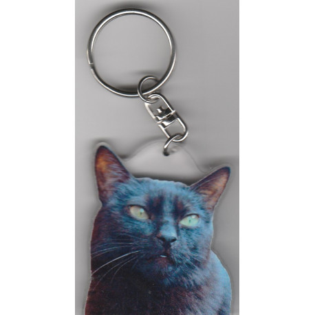 CHAT  porte clés