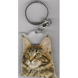 MAINE COON CAT Key Fobs