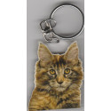 MAINE COON CAT Key Fobs