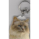 BIRMAN CAT Key Fobs