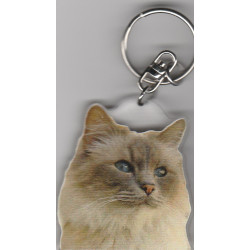 Sacré de Birmanie CHAT porte clés