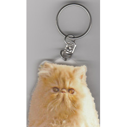 PERSAN CAT Key Fobs