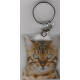 BENGAL  CAT Key Fobs