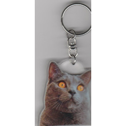 CHARTREUX  CHAT porte clés