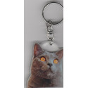 CHARTREUX CAT Key Fobs