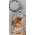 BENGAL  CAT Key Fobs