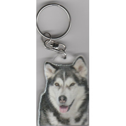 ALASKAN MALAMUTE DOG / Key Fobs