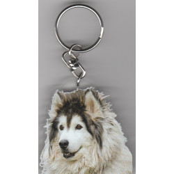 ALASKAN MALAMUTE CHIEN porte clés