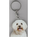 BICHON DOG / Key Fobs