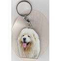 CAUCASIEN SHEPHERD DOG / Key Fobs