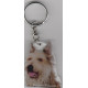 PICARD SHEEP DOG  / Key Fobs