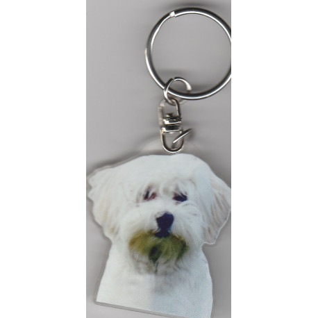 BICHON CHIEN porte clés