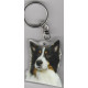 BORDER COLLIE DOG / Key Fobs