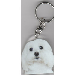 BICHON CHIEN porte clés