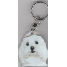 BICHON CHIEN porte clés