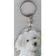 BICHON OF MALTE DOG / Key Fobs