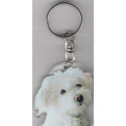 BICHON MALTAIS CHIEN porte clés