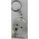 BICHON OF MALTE DOG / Key Fobs