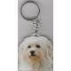 HAVANA DOG / Key Fobs