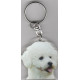 BIChON CHIEN porte clés