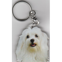 BIChON MALTAIS CHIEN porte clés