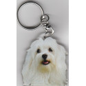 MALTESE DOG / Key Fobs