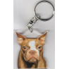 BOSTON TERRIER DOG / Key Fobs