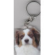 AUSTRALIAN SHEEP  DOG / Key Fobs