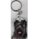 Pyrenean Mountain DOG / Key Fobs