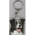 BORDER COLLIE DOG / Key Fobs