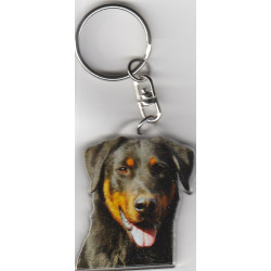 BEAUCERON   / Key Fobs